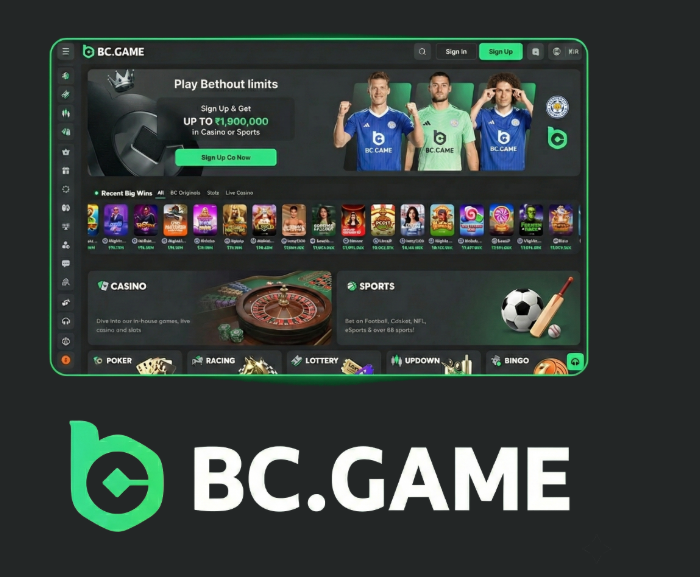 Experience the Thrill of Gaming at BC.Game Online